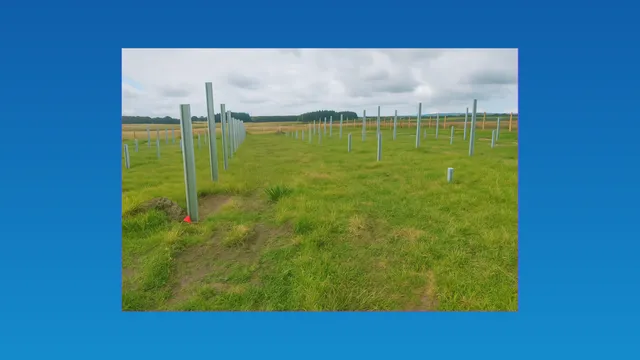 Pile Height Deviation in Solar Construction: Why It Happens and Why It Matters