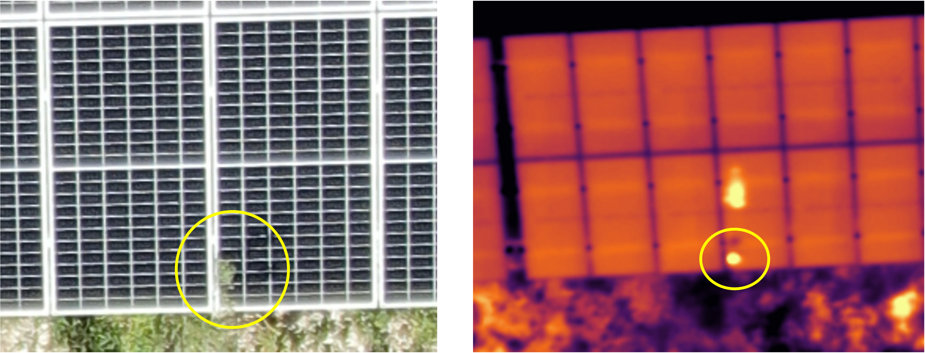 Image of a bush obstructing a solar module and the butterfly effect that it causes